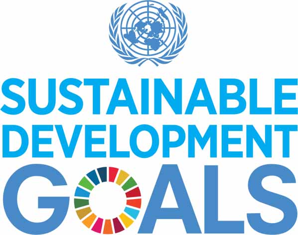 UN Sustainable Development Goals Logo